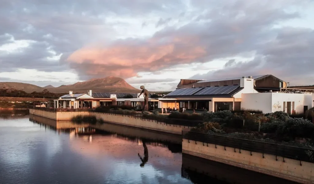 Benguella Cove Lagoon Wine estate1